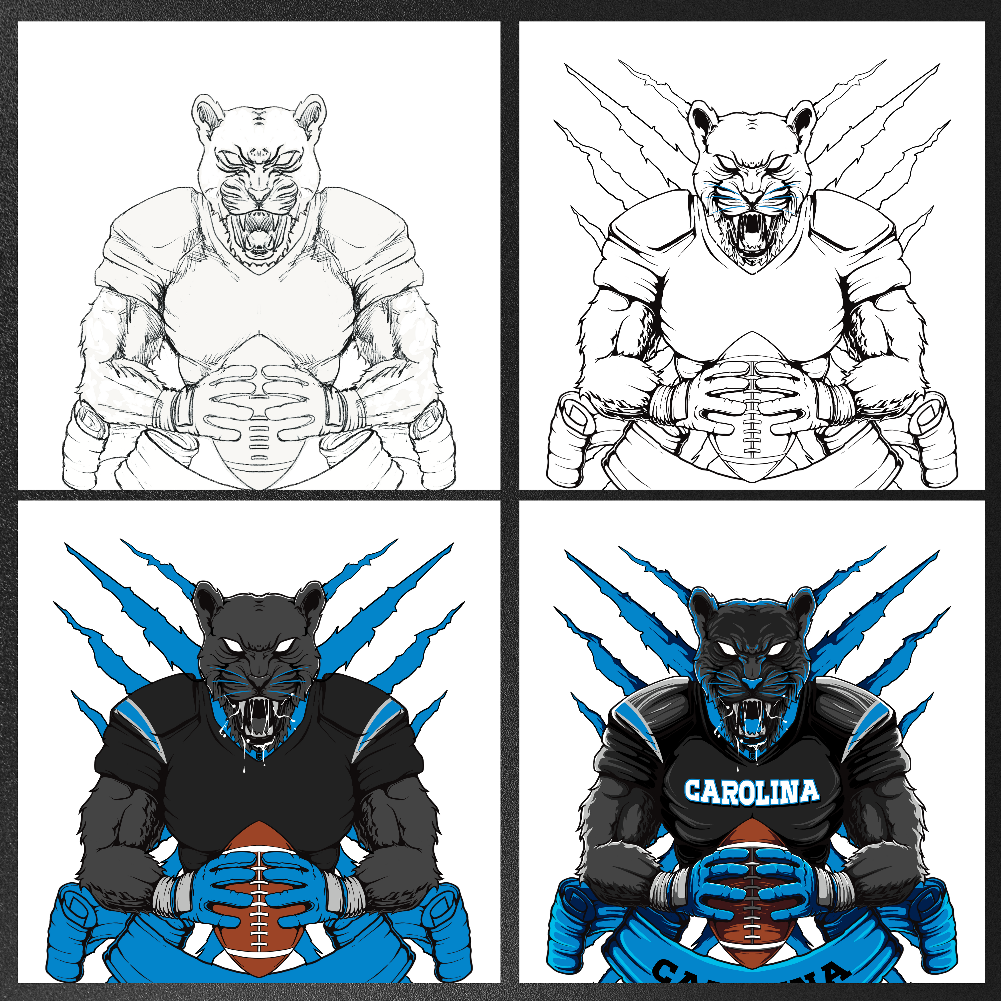 Carolina Football Men's T-Shirt