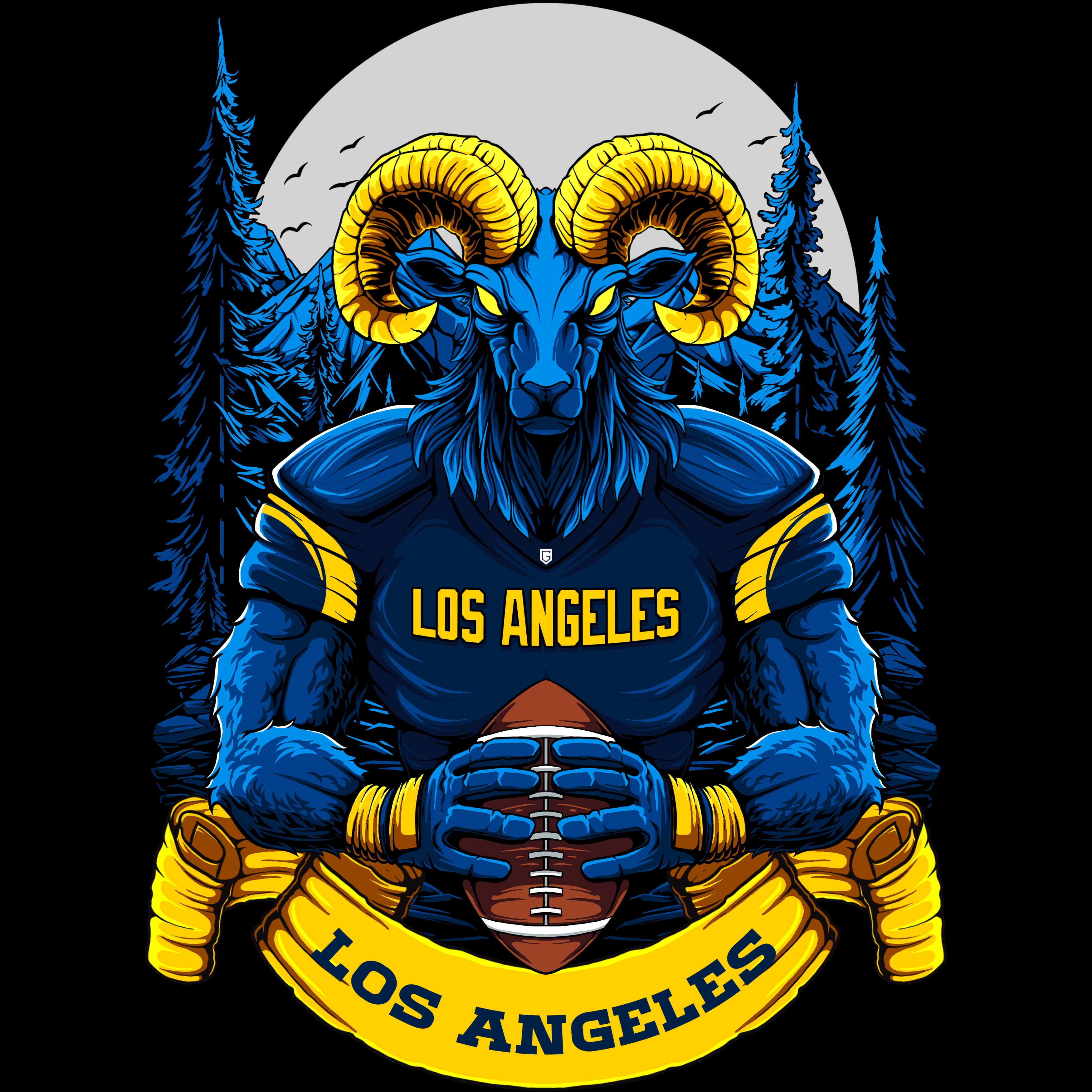 Los Angeles Football Sweatshirt