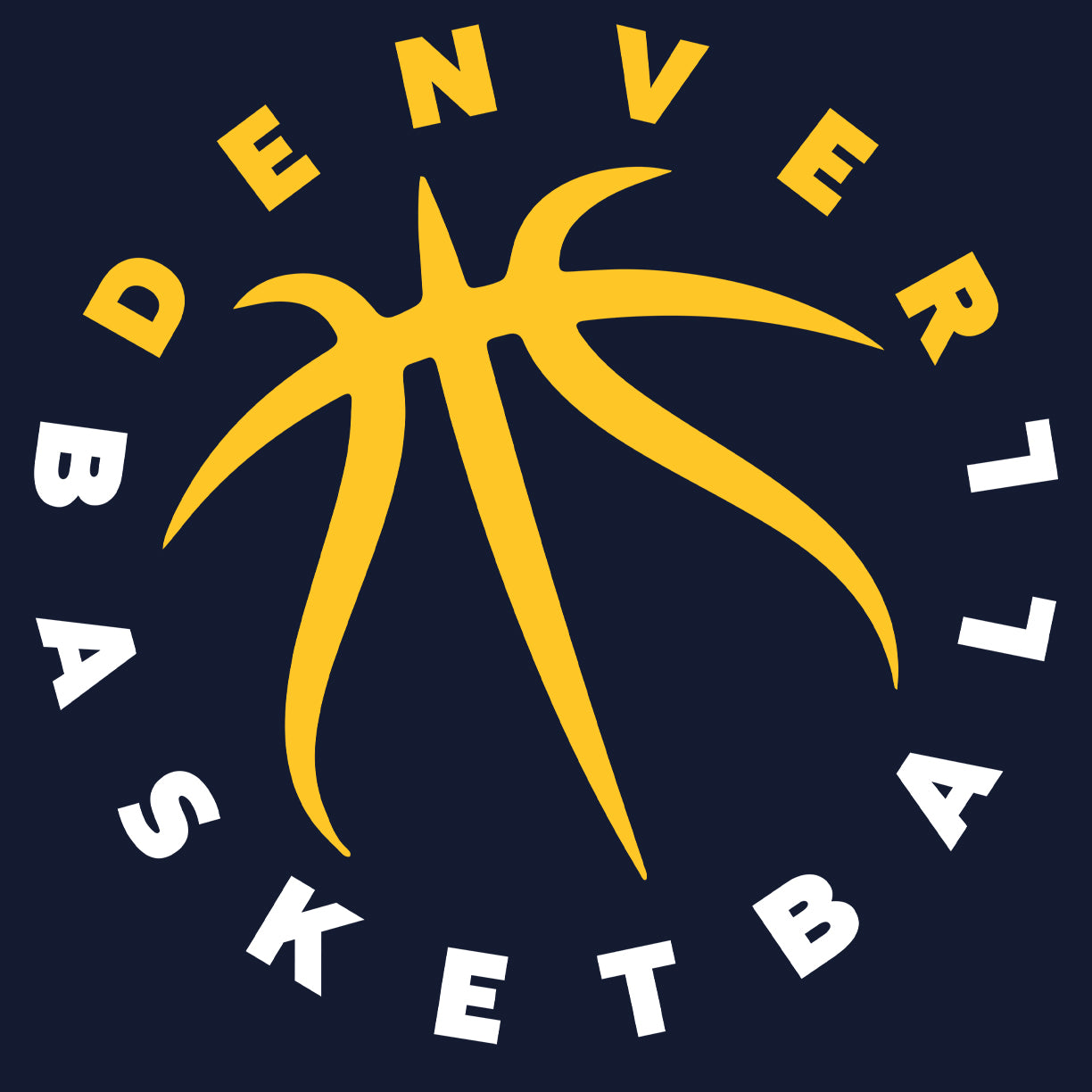 Denver Basketball Seams Men's T-Shirt