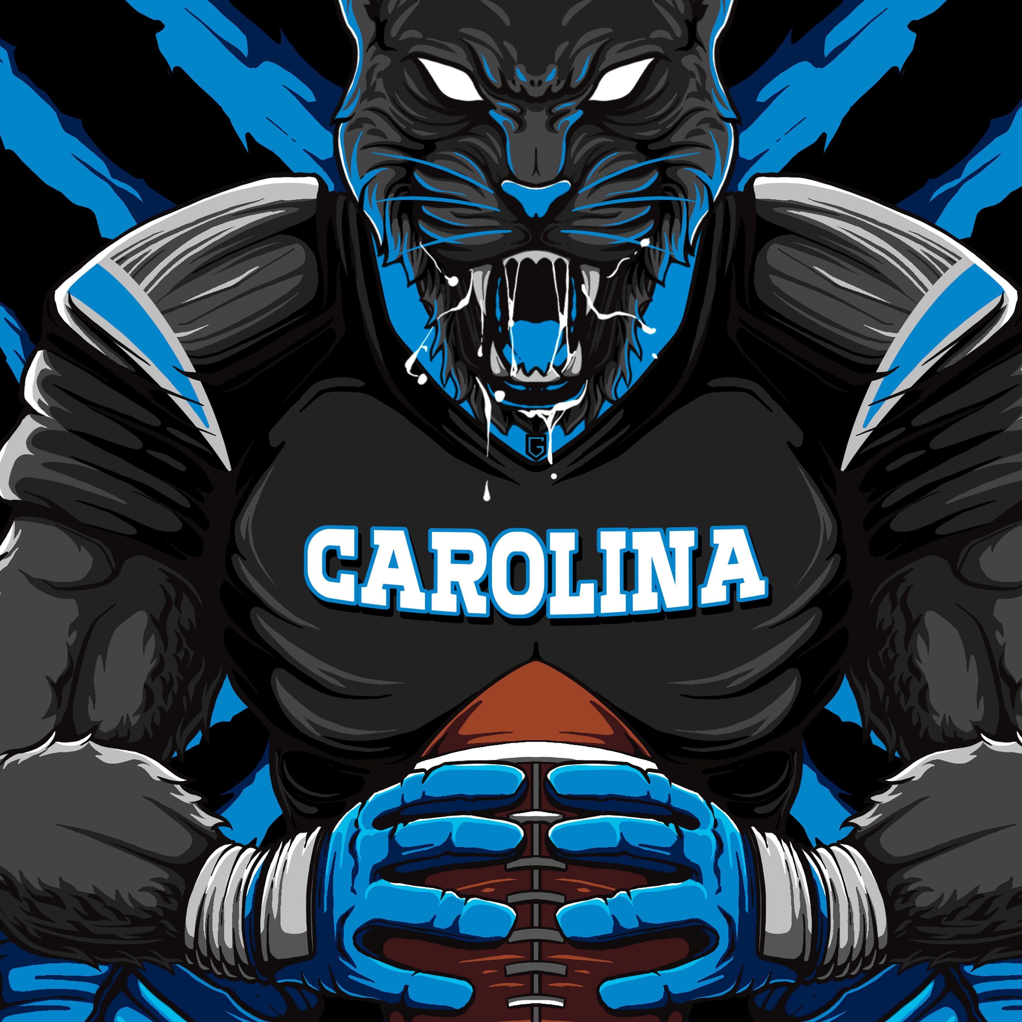 Carolina Football Long Sleeve Men's T-Shirt